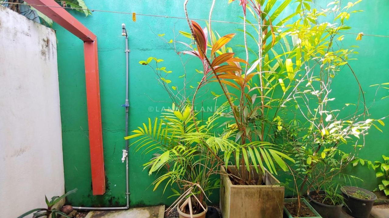 Hotel Twin Palms à Mirissa Extérieur photo